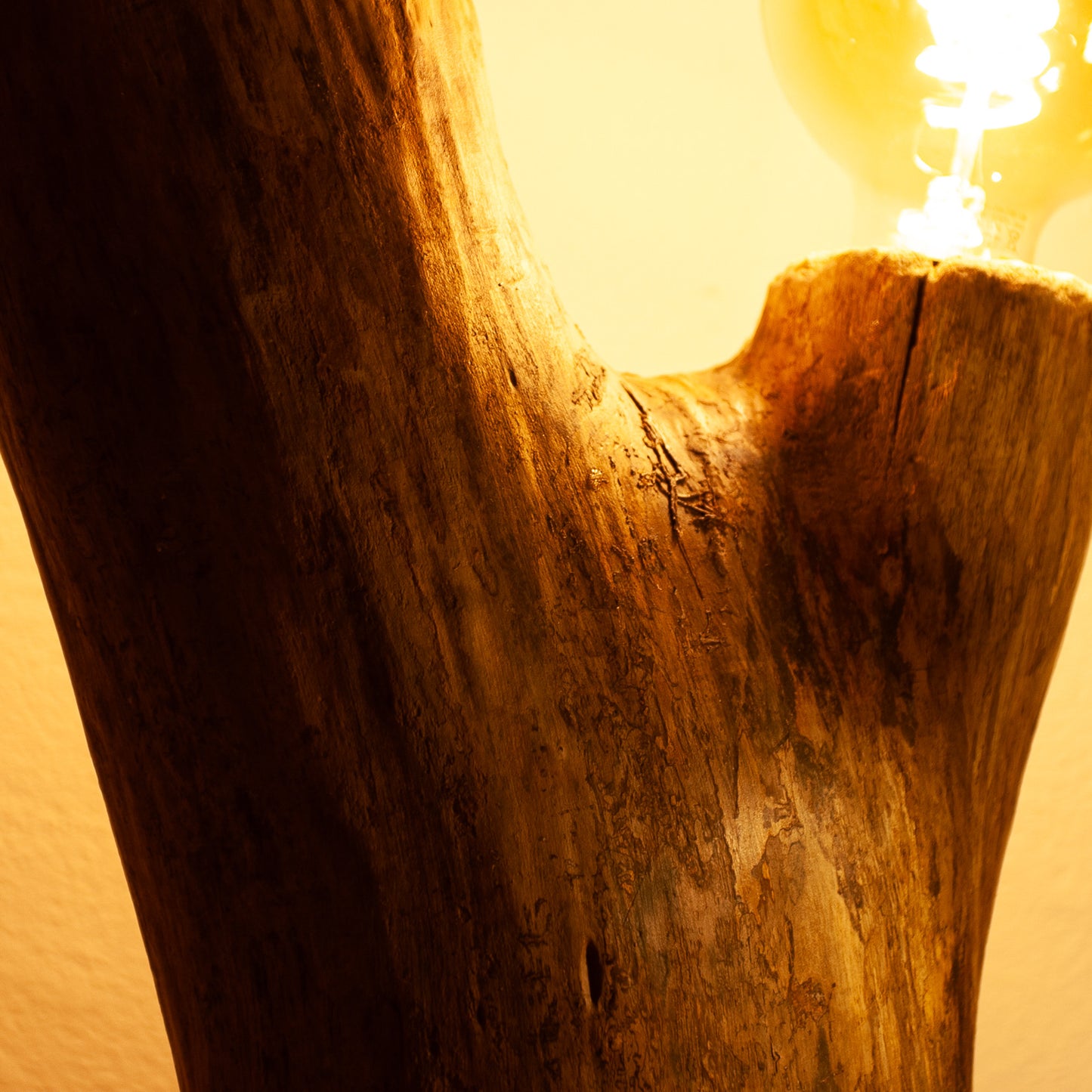 Lichtstück #006 - Archaische Treibholzskulptur