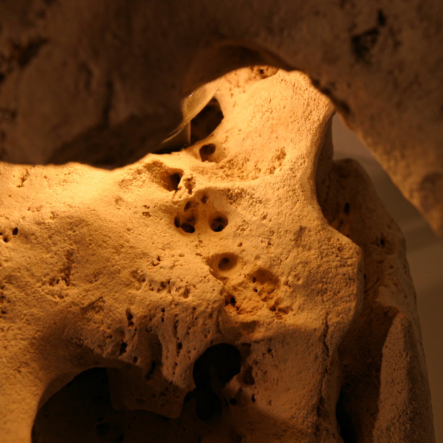 Lichtstück #007 - Ein Skorpion aus Kalkstein