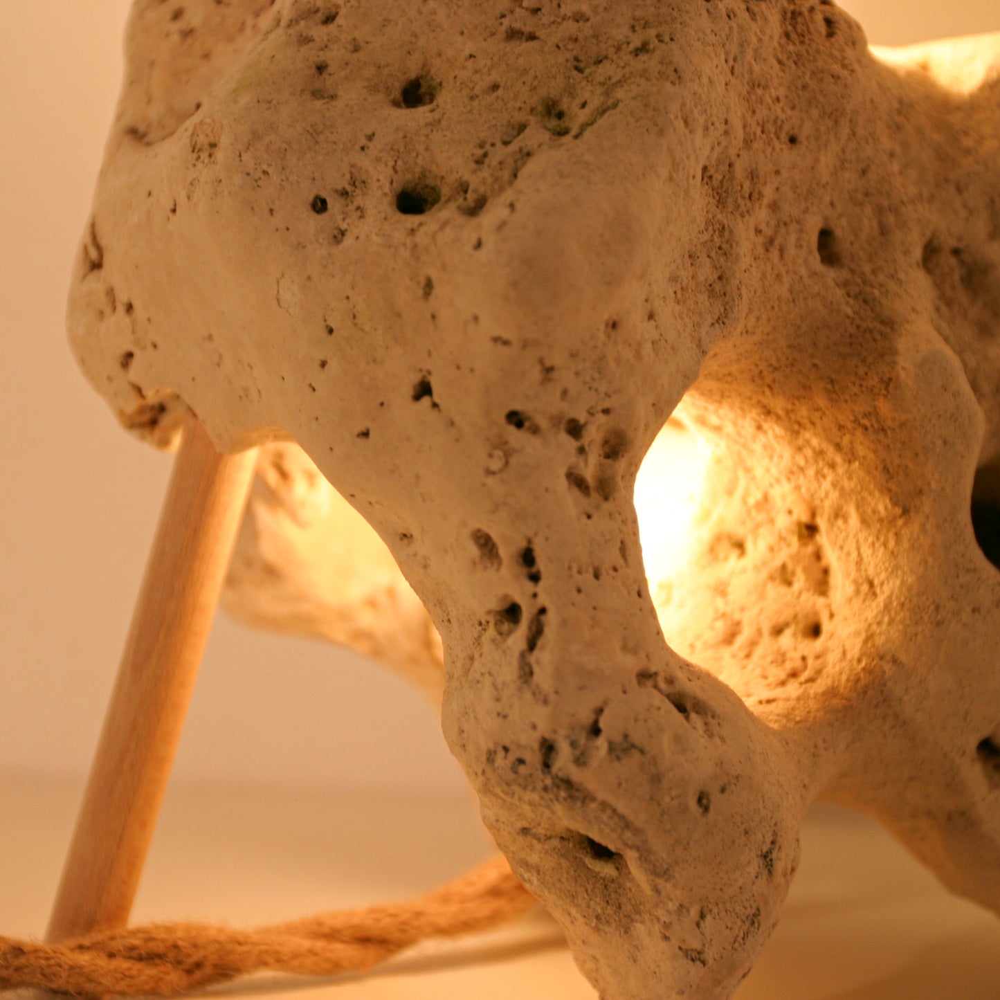 Lichtstück #007 - Ein Skorpion aus Kalkstein