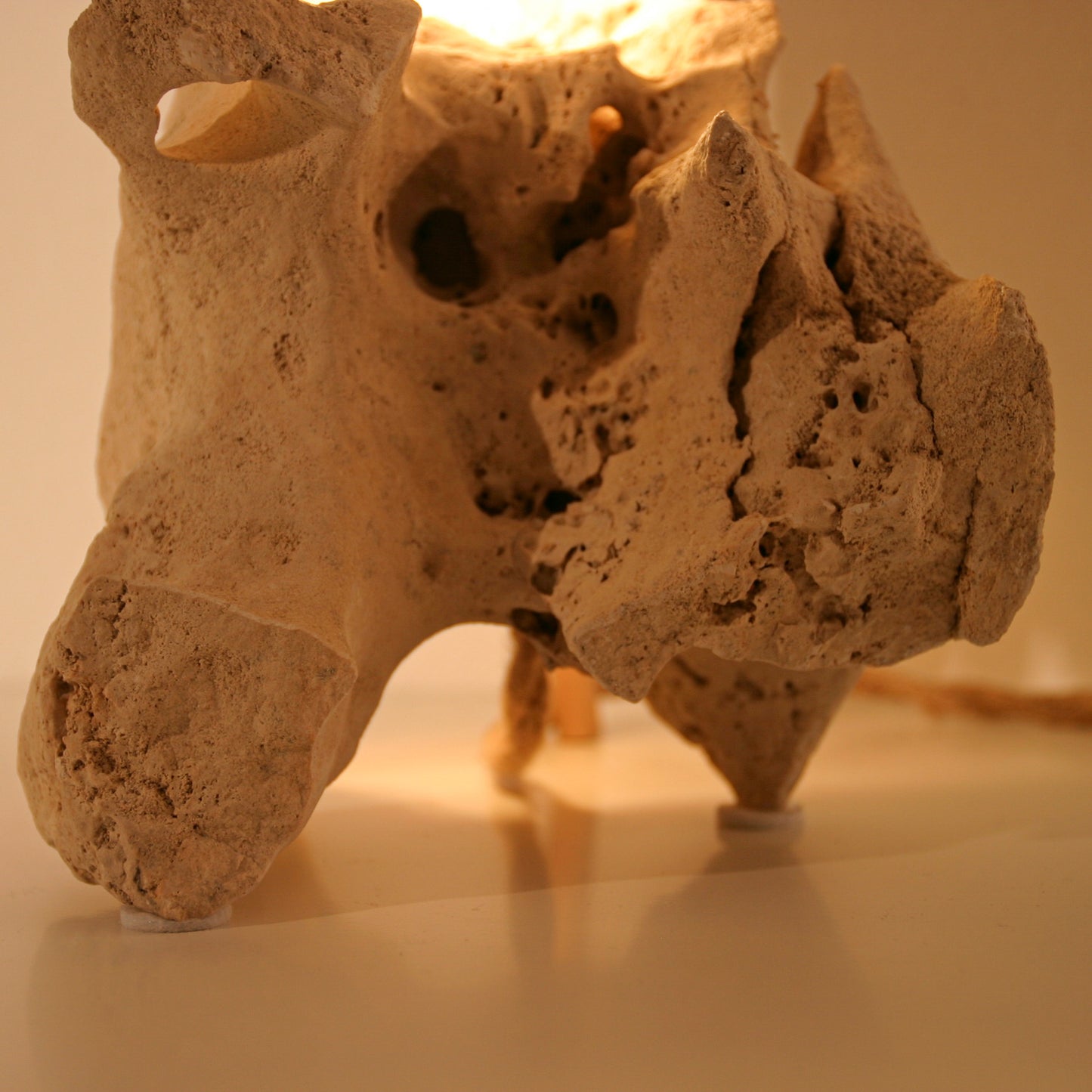 Lichtstück #007 - Ein Skorpion aus Kalkstein