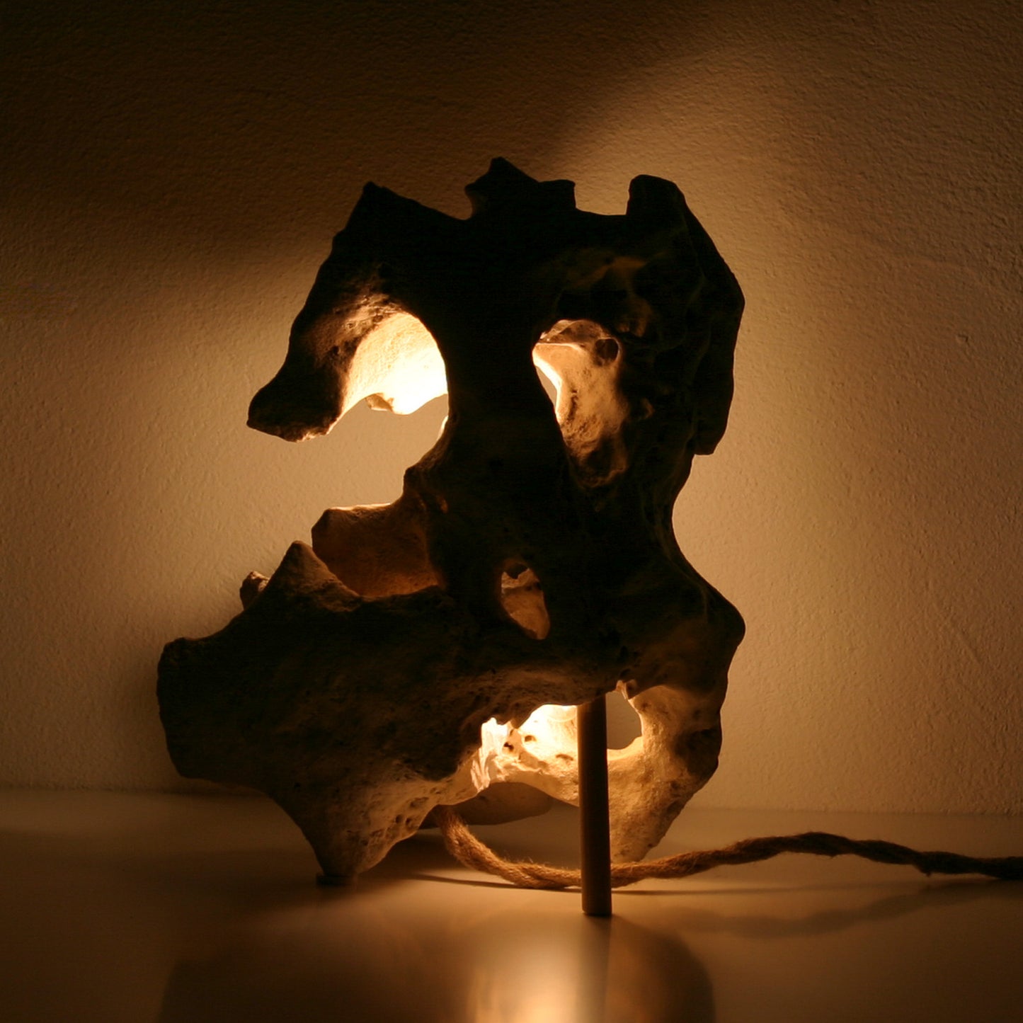 Lichtstück #007 - Ein Skorpion aus Kalkstein