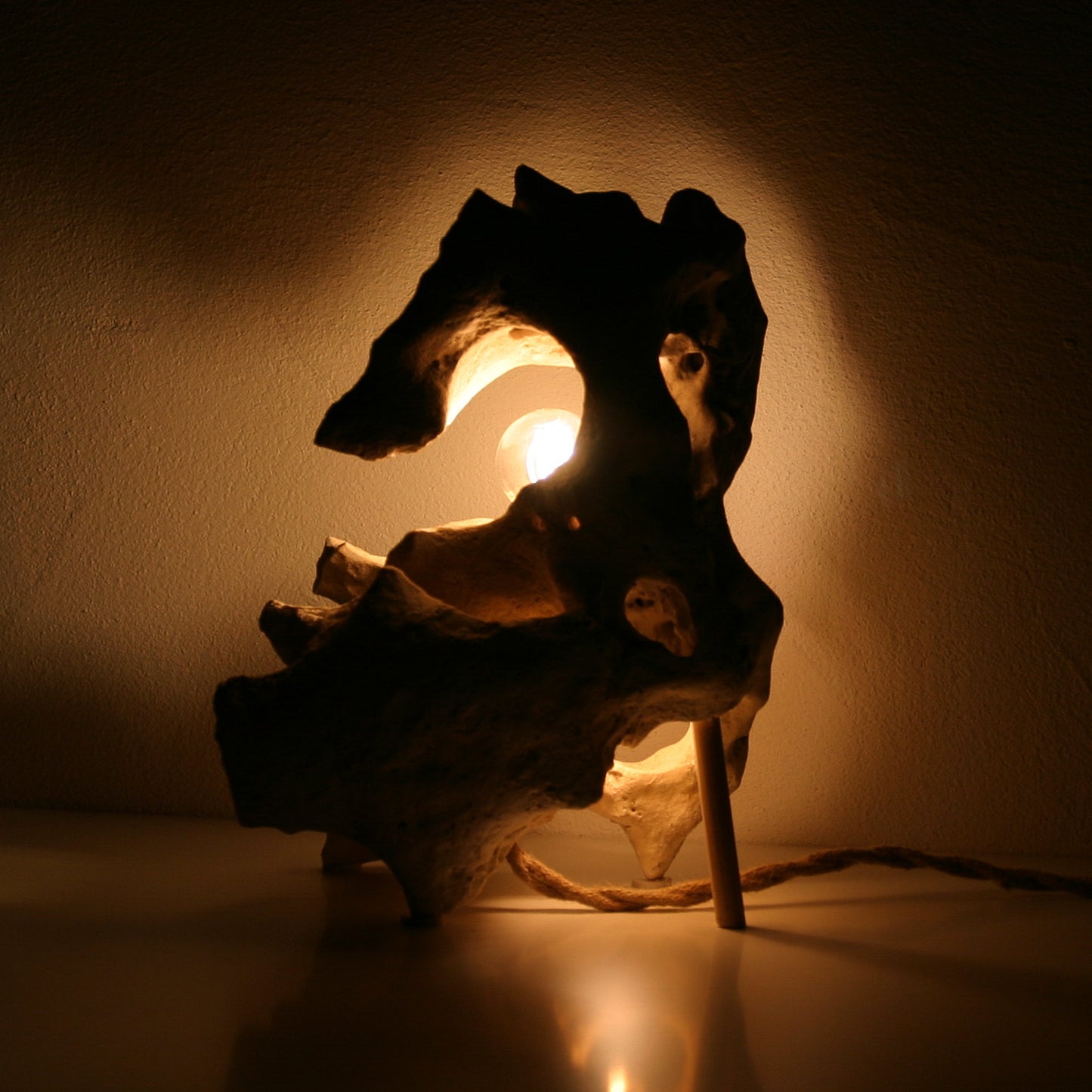 Lichtstück #007 - Ein Skorpion aus Kalkstein