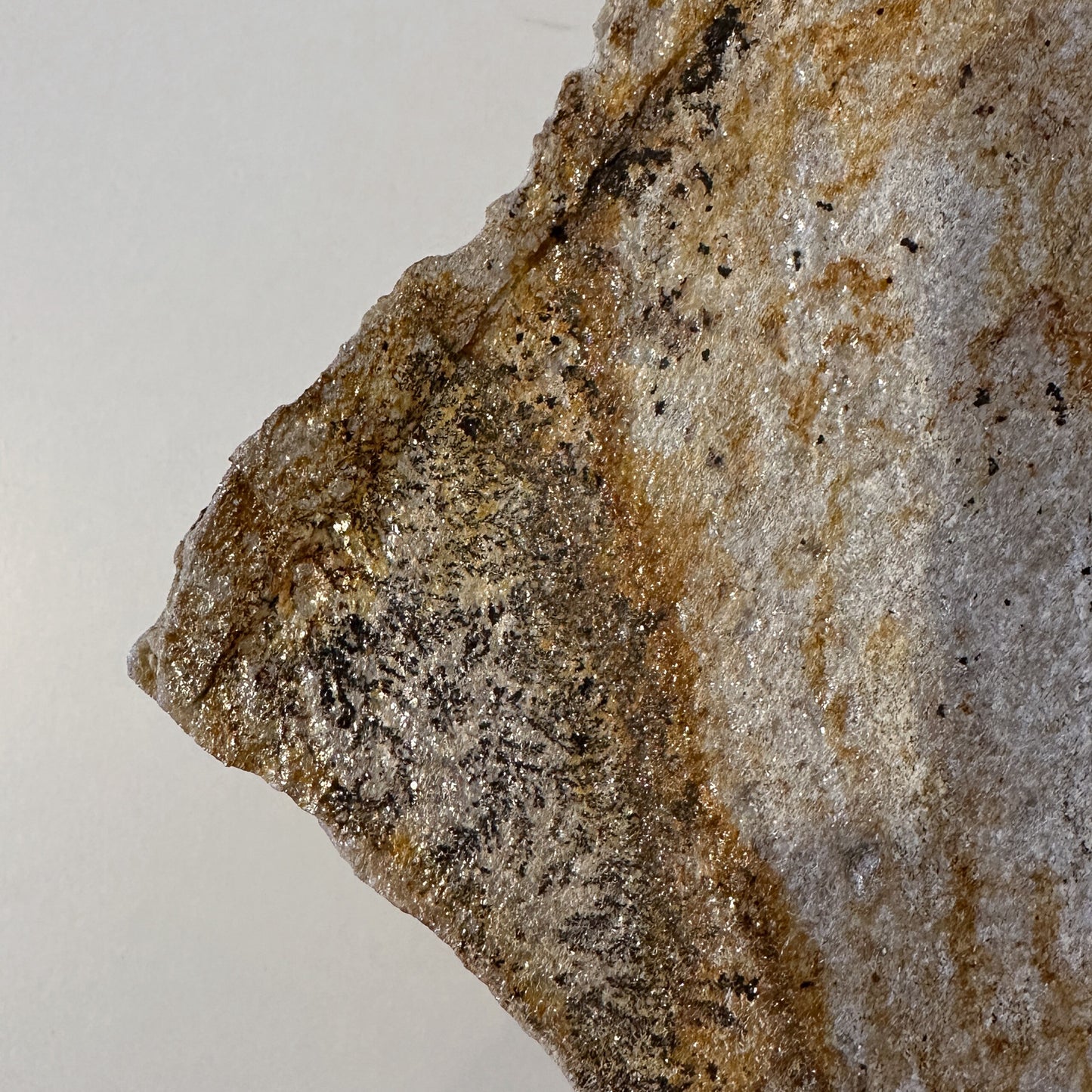 Lichtstück #014 - Kleine, traumhaft schön gefärbte Goldgneisplatte