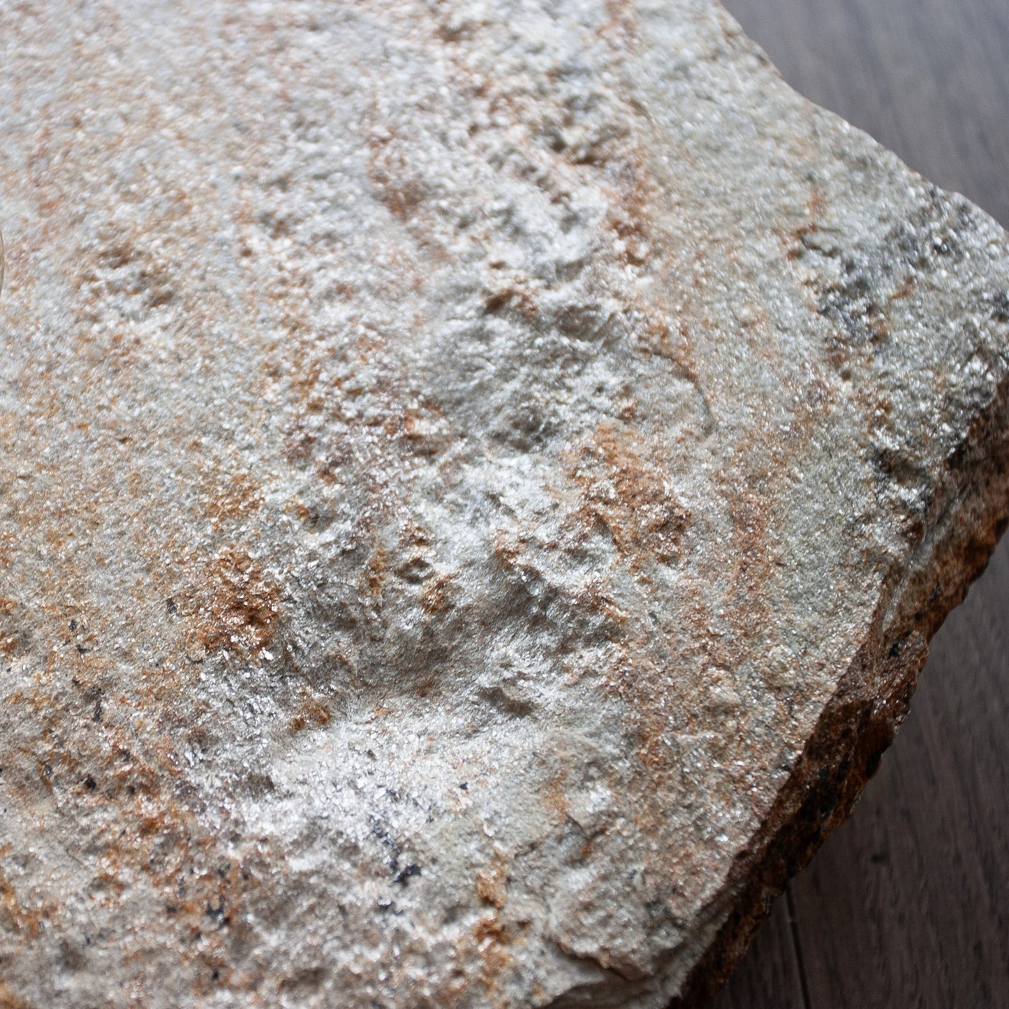 Lichtstück #014 - Kleine, traumhaft schön gefärbte Goldgneisplatte